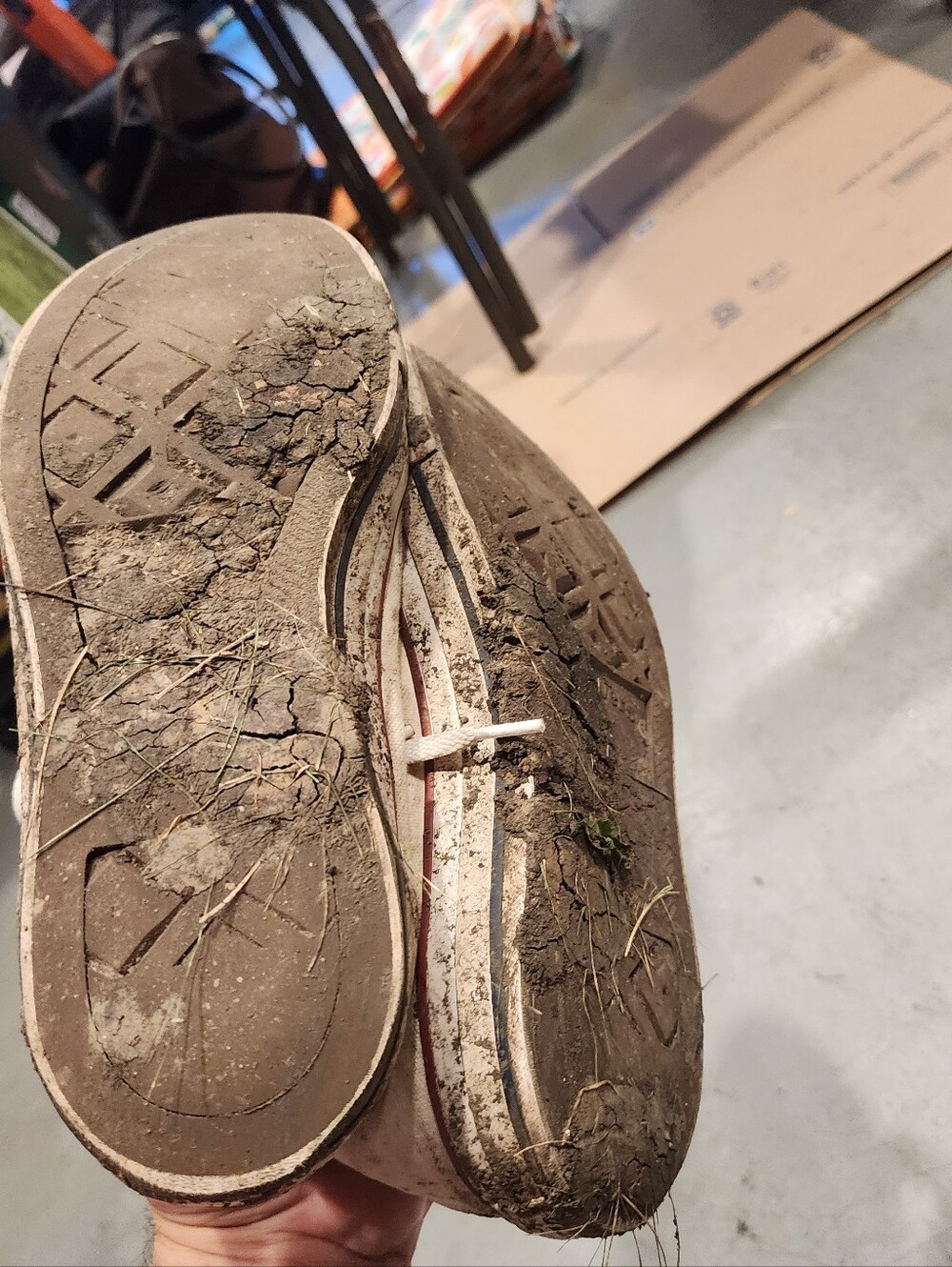 Vans 10 - Picture 7 of 7